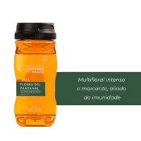 Mel Puro Orgânico - Flores do Pantanal - Casa Roncador - 280g