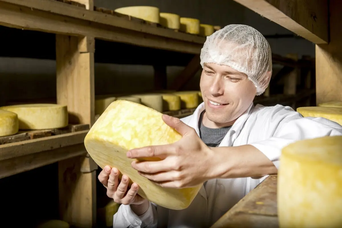 O que faz um queijo parmesão ser artesanal