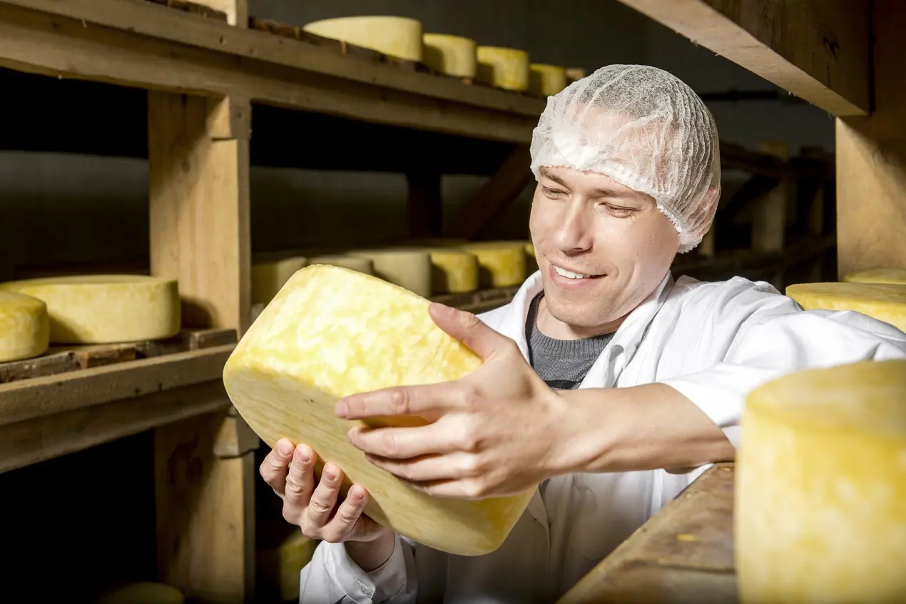 O que faz um queijo parmesão ser artesanal