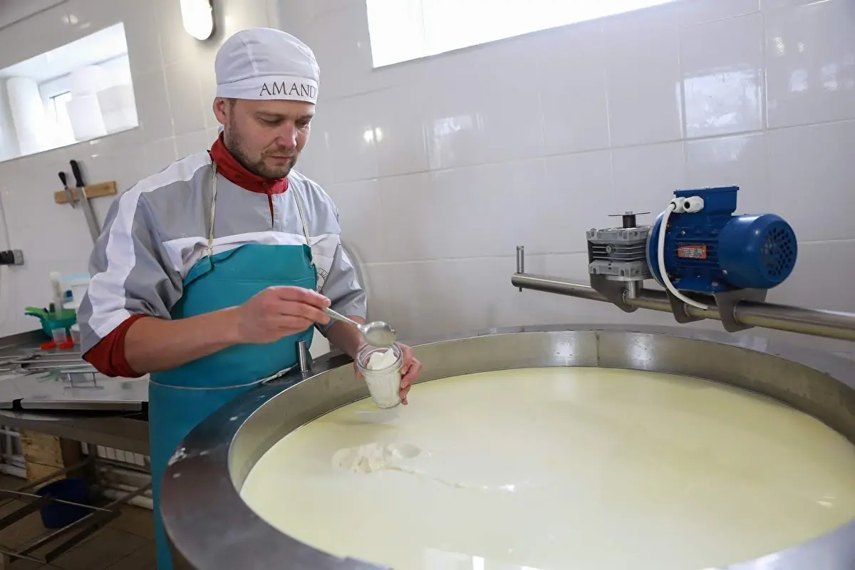 Queijo Parmesão Artesanal Brasileiro: Uma Joia da Gastronomia Nacional - 5 Processo de produção do queijo parmesão artesanal