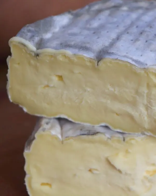 Queijo Lua da Serra - Pé do Morro - 280g (aprox.) -1