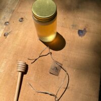 Mel de Uruçu-Amarela - Abelhas Nativas - Casa Tole - 100ml