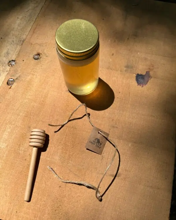 Mel de Uruçu-Amarela - Abelhas Nativas - Casa Tole - 100ml