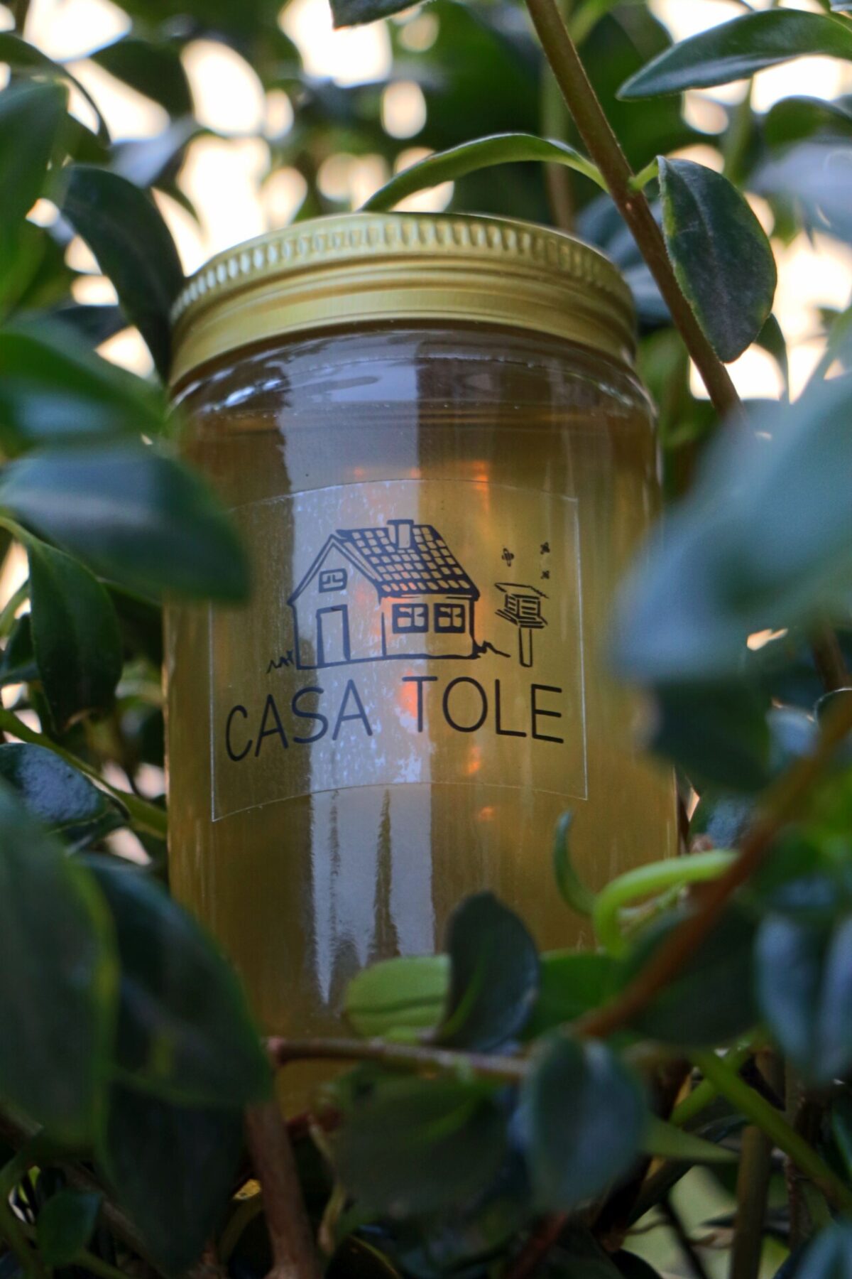 Mel de Uruçu-Amarela – Abelhas Nativas