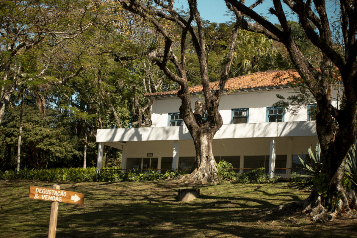 Queijo Cangalha - Queijaria Santa Vitória - 300g (aprox.) -5