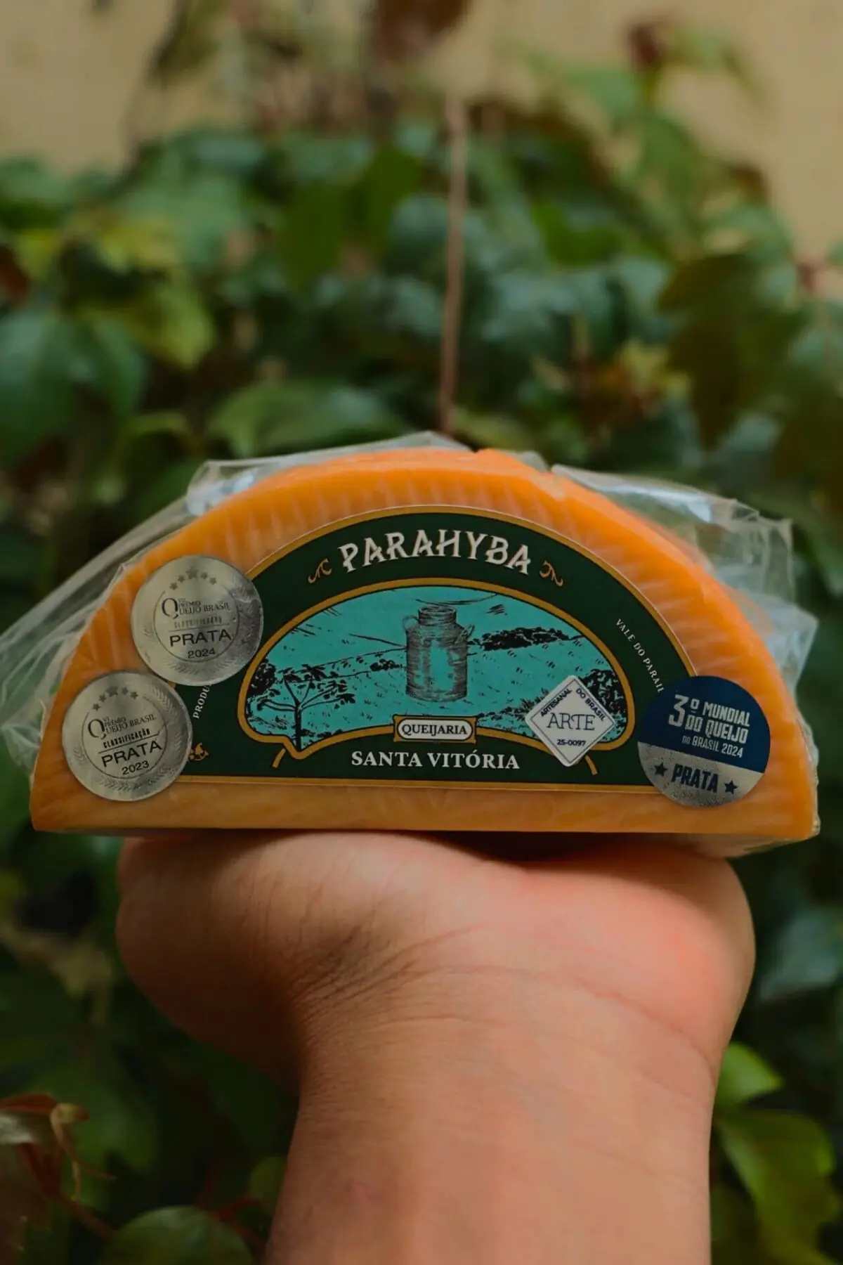 Queijo Parahyba - Queijaria Santa Vitória - 380g