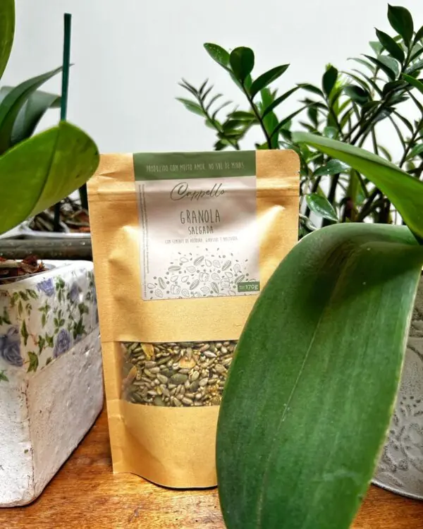 Granola Salgada