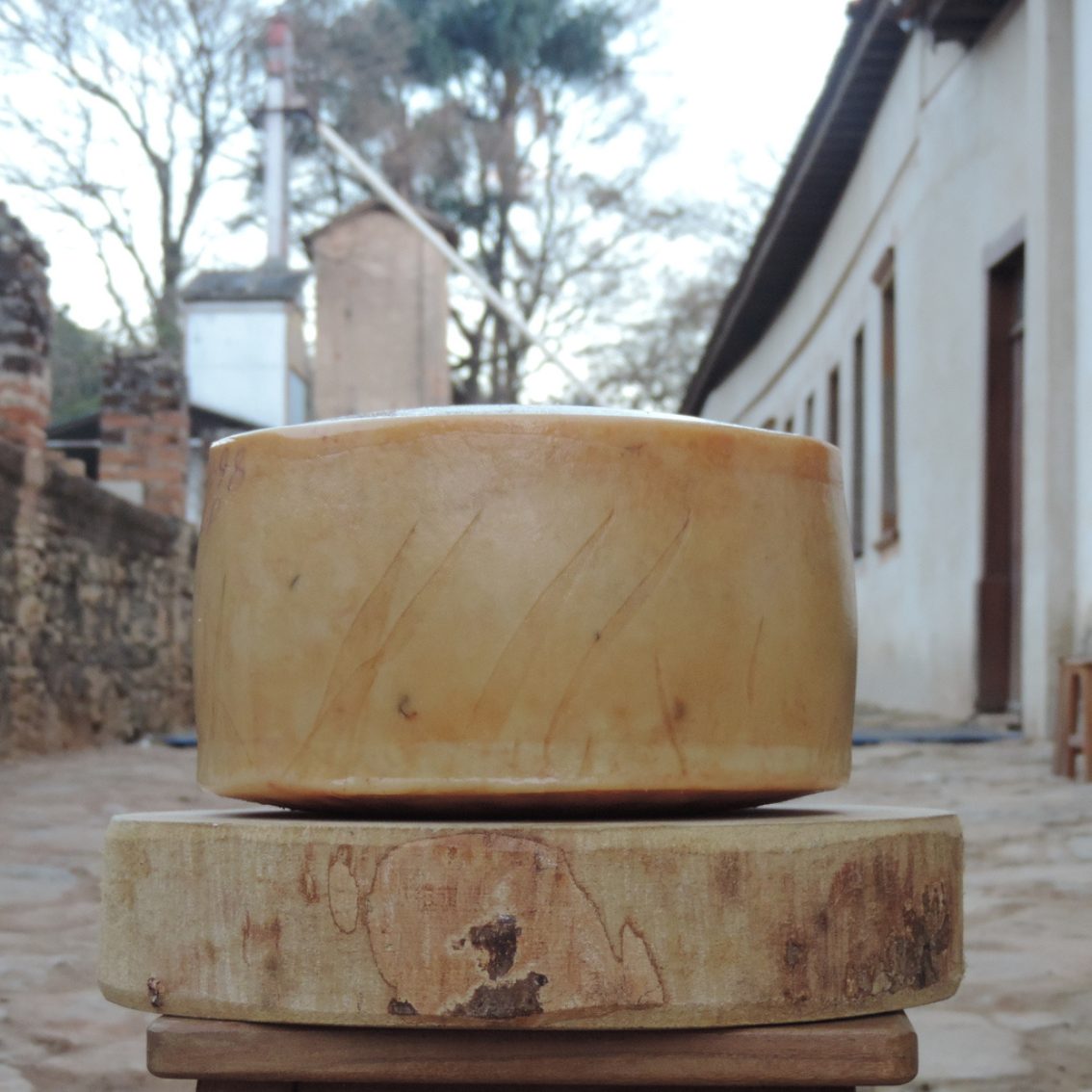 Queijo Caprinus (leite de cabra) - Fazenda Atalaia