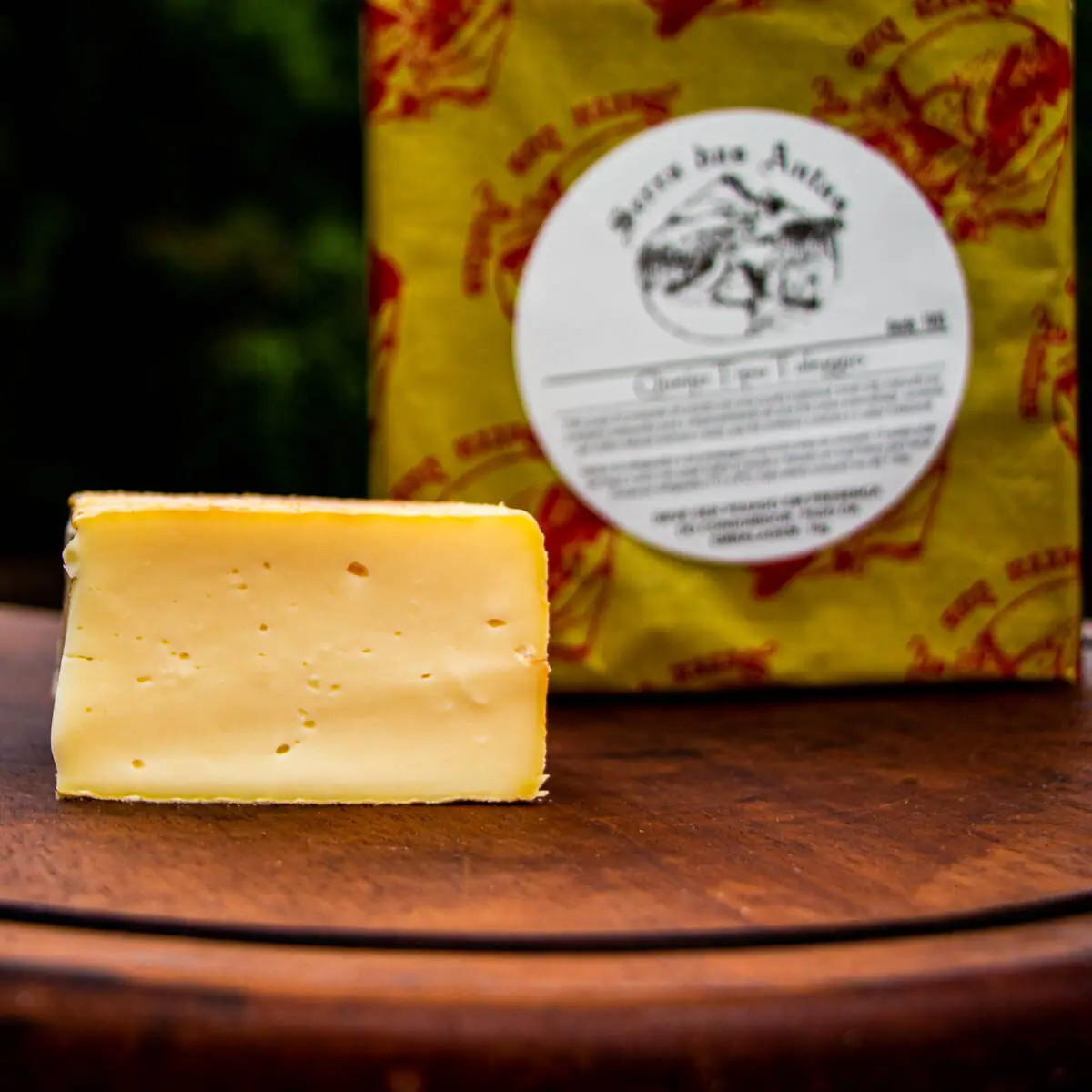 Queijo Taleggio - Serra das Antas - 250g (aprox.) -3