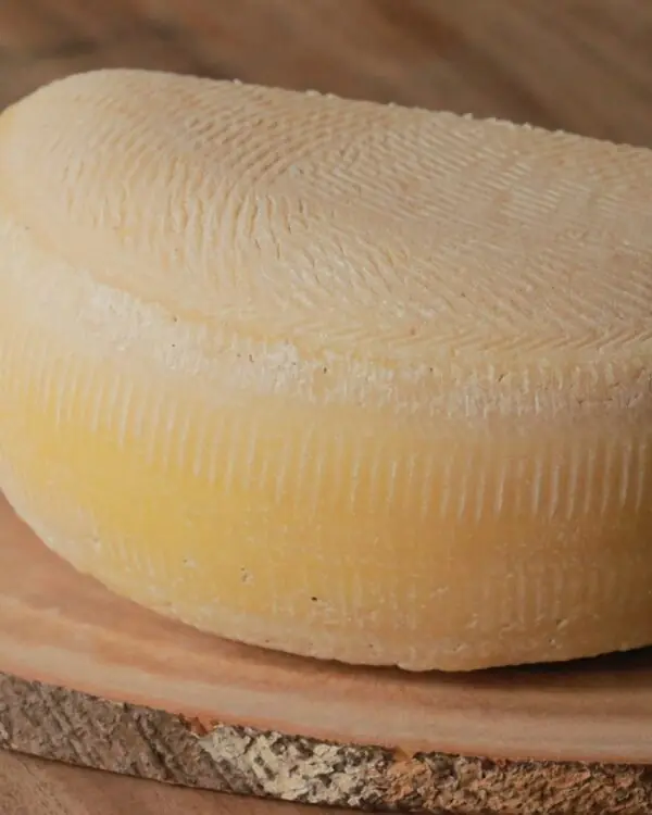 Queijo San José - Artelatte