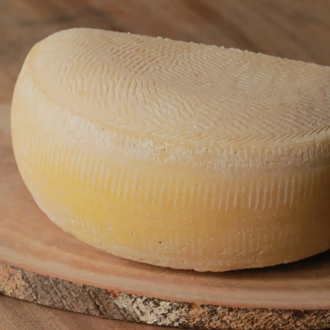 Queijo San José - Artelatte