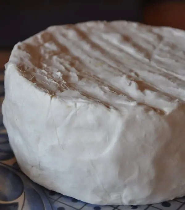 Queijo Nuvem - Fazenda Atalaia