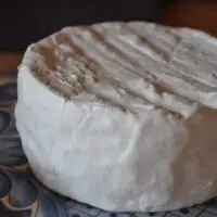 Queijo Nuvem - Fazenda Atalaia