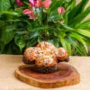 Colomba Pascal de Damasco, Figo, Cranberry, Uva e Amêndoas – Yandê – 500g -3