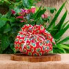 Colomba Pascal de Damasco, Figo, Cranberry, Uva e Amêndoas – Yandê – 500g -5