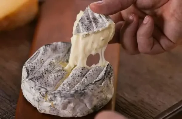Qual sabor do Queijo Morro Azul Premiado? - 22 Qual sabor do Queijo Morro Azul Premiado? - 21