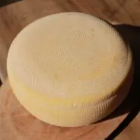 Queijo San José - Artelatte