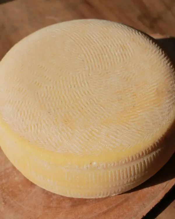 Queijo San José - Artelatte -1