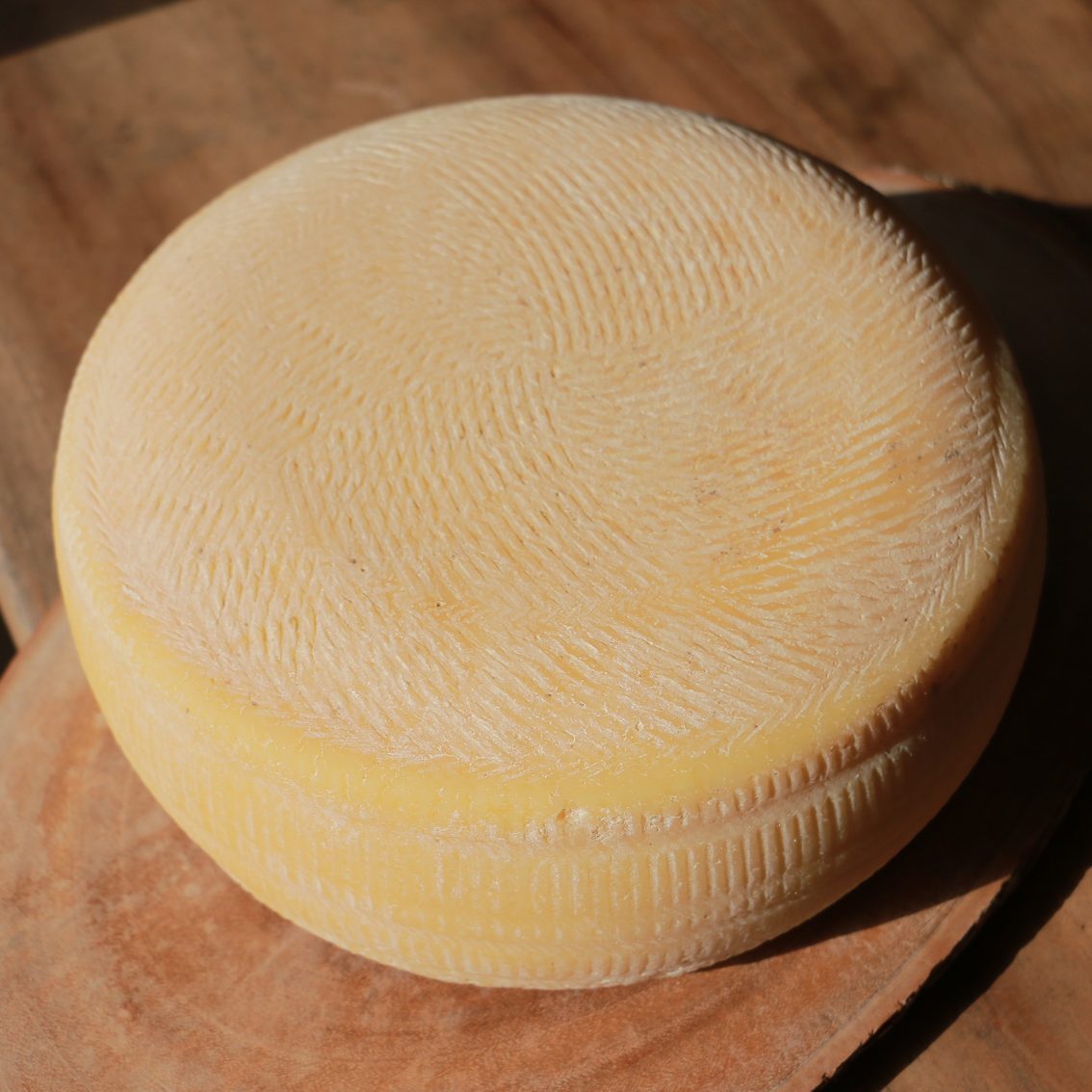 Queijo San José - Artelatte