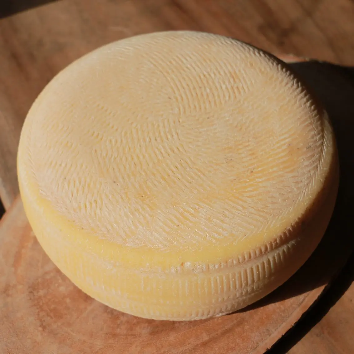 Queijo San José - Artelatte