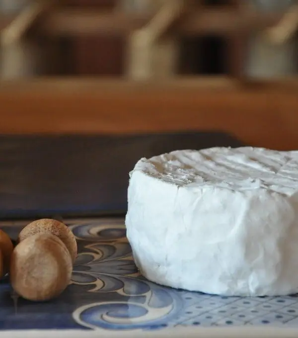 Queijo Nuvem - Fazenda Atalaia