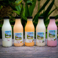 Iogurte Integral - Fazenda Atalaia - 500g Iogurte Integral - Fazenda Atalaia - 500g