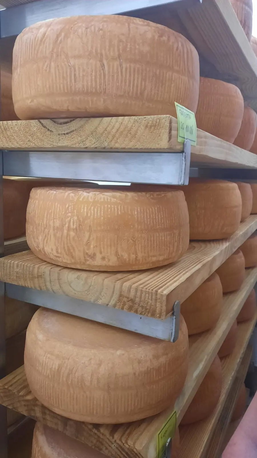 Queijo Foggeta - Terra Limpida