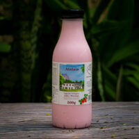 Iogurte Integral - Fazenda Atalaia - 500g -4 Iogurte Integral - Fazenda Atalaia - 500g -4