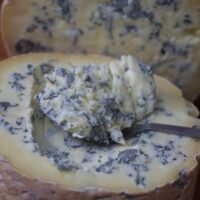 Queijo Gorgonzola de Colher - Serra das Antas -1