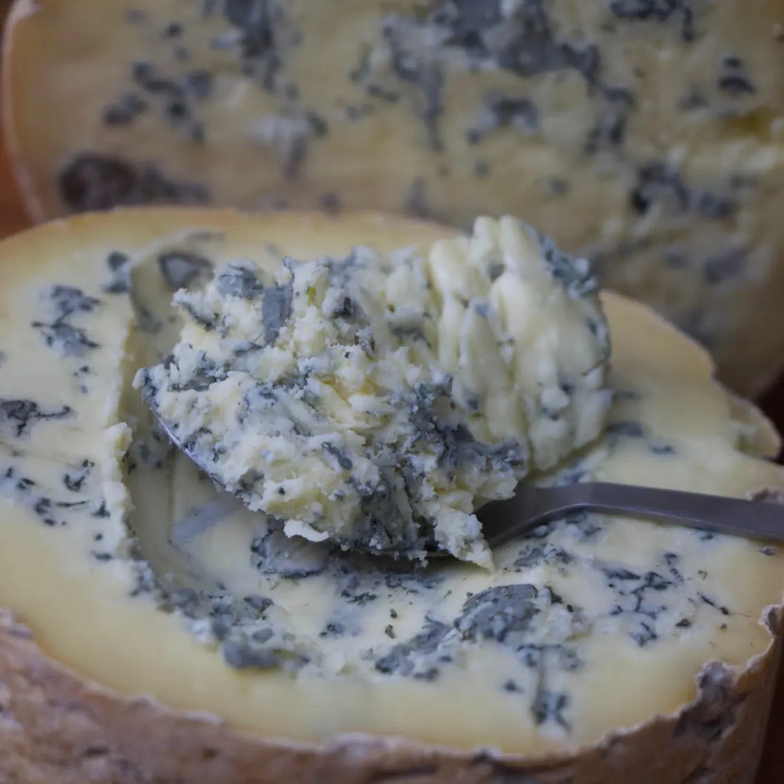Queijo Gorgonzola de Colher - Serra das Antas