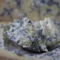 Queijo Gorgonzola de Colher - Serra das Antas