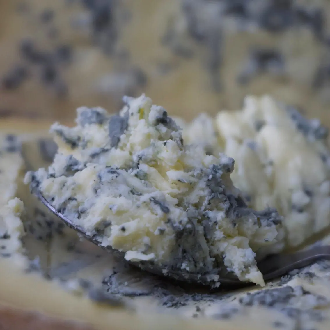 Queijo Gorgonzola de Colher - Serra das Antas