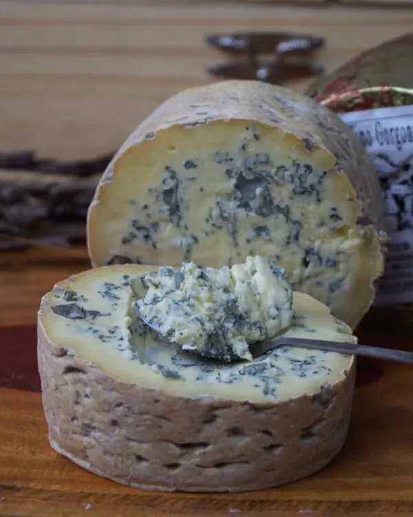 Queijo Gorgonzola de Colher - Serra das Antas Queijo Gorgonzola de Colher - Serra das Antas