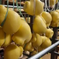Queijo Ginestrella - Terra Limpida - 200g(Aprox.)