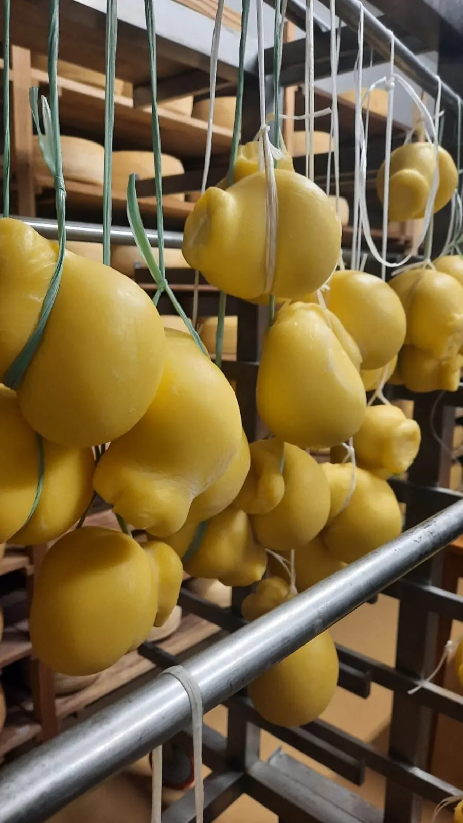 Queijo Ginestrella - Terra Limpida - 200g(Aprox.)