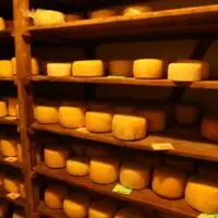 Queijo Querciola 3 Meses - Terra Limpida