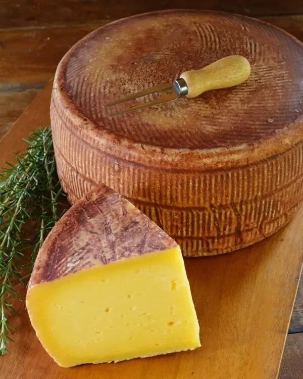 Queijo Foggeta - Terra Limpida