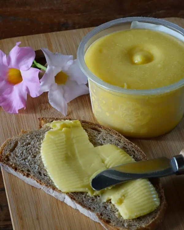 Manteiga Orgânica - Terra Limpida - 250g -1 Manteiga Orgânica - Terra Limpida - 250g -1