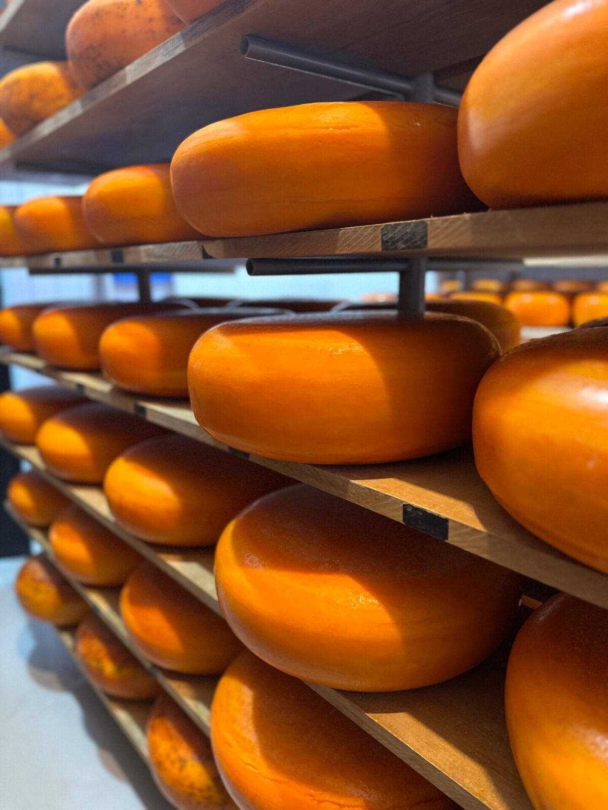 Queijo Gouda Envelhecido - Dutch Lady - 250g -12