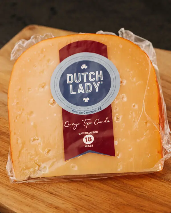 Queijo Gouda Envelhecido - Dutch Lady - 250g -1