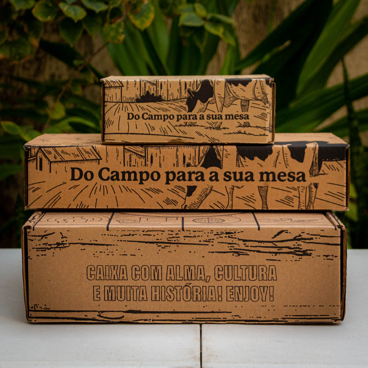 Política de Frete e Devoluções - 10 Política de Frete e Devoluções - 9