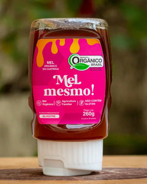 Mel Mesmo Bisnaga - Organico - 260g