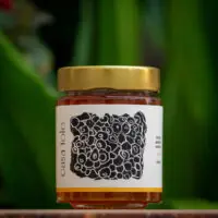 Mel de Jataí - Abelhas Nativas - Casa Tole - 120ml