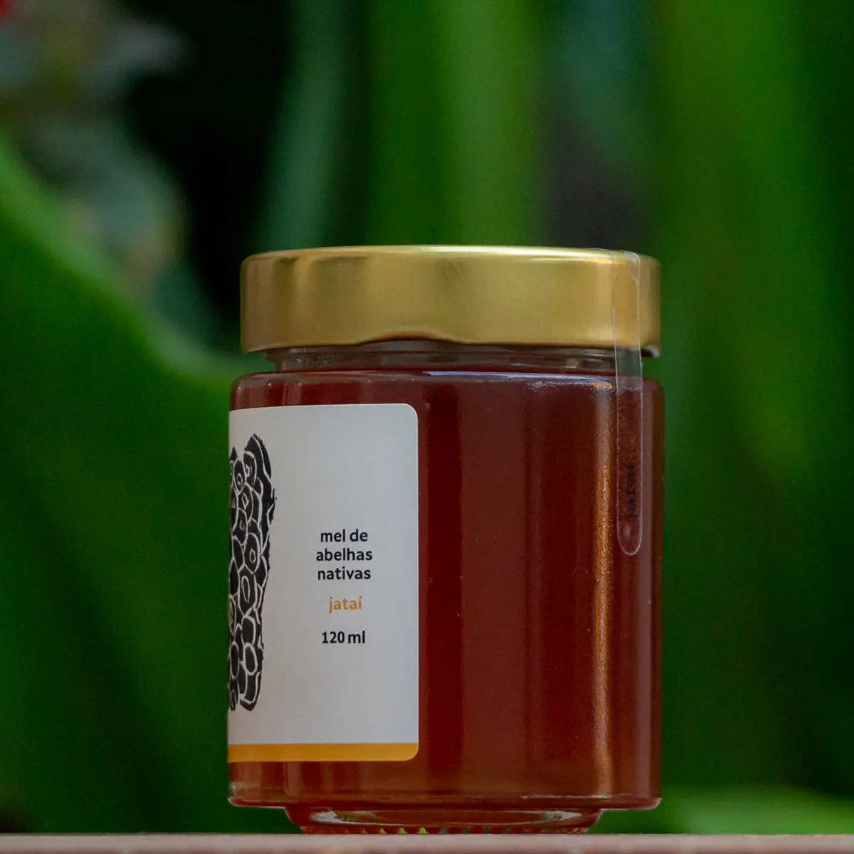 Mel de Jataí - Abelhas Nativas - Casa Tole - 120ml