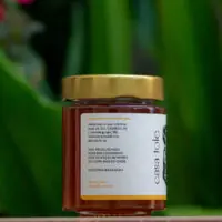 Mel de Jataí - Abelhas Nativas - Casa Tole - 120ml