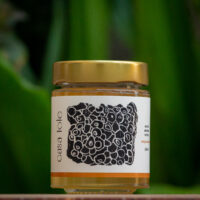 Mel de Uruçu-Amarela - Abelhas Nativas - Casa Tole - 120ml