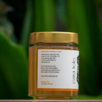 Mel de Uruçu-Amarela - Abelhas Nativas - Casa Tole - 120ml