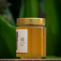 Mel de Mandaçaia de Abelhas Nativas - Casa Tole - 100ml