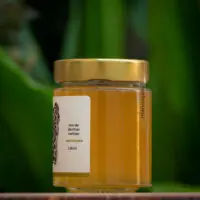 Mel de Mandaçaia de Abelhas Nativas - Casa Tole - 100ml