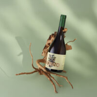 Vinho Novato Alvarinho - Revvo - 750ml